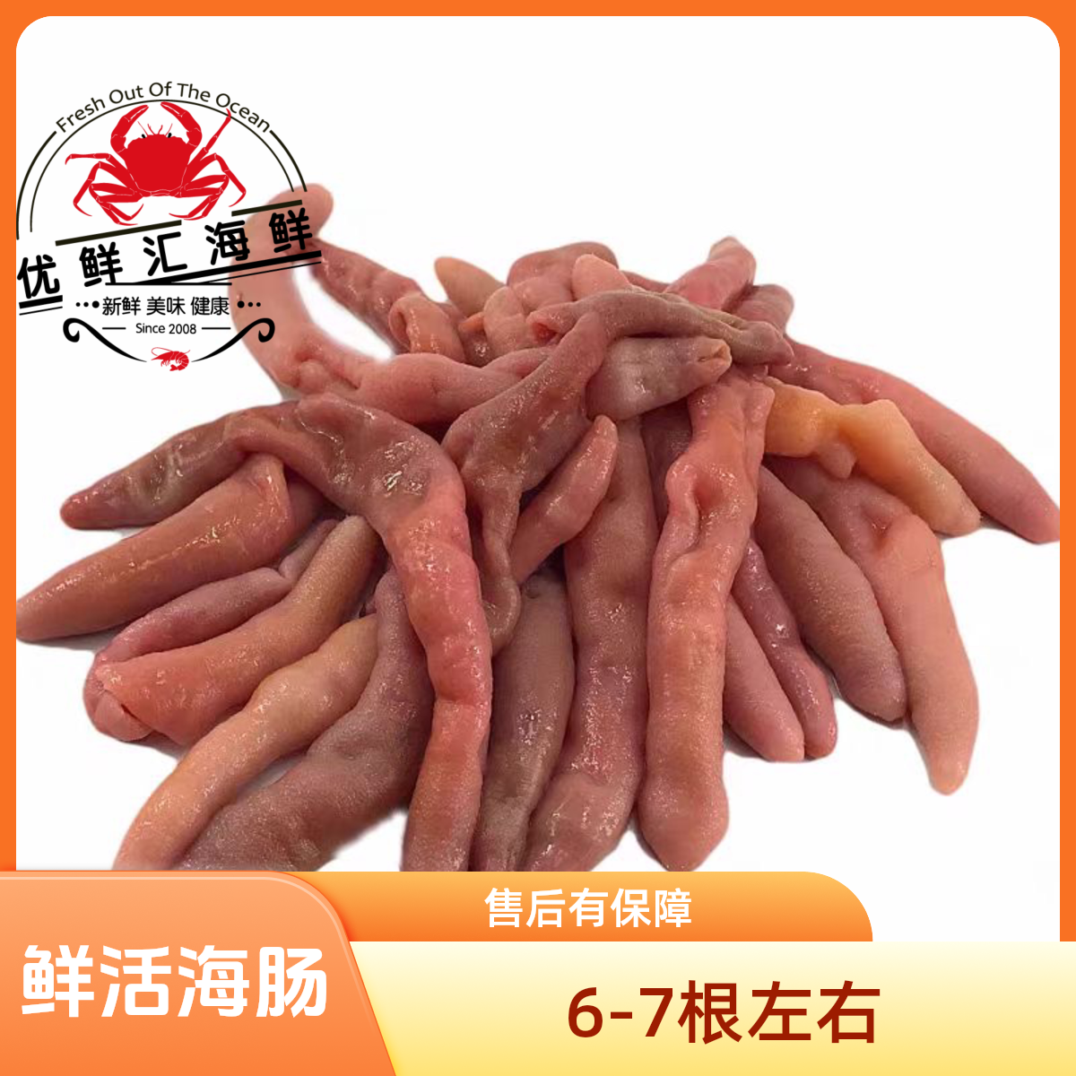 鲜活海肠 1包 6-7根60克左右