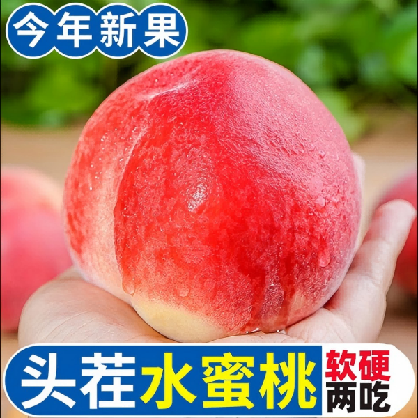 山西运城春美水蜜桃新鲜采摘果园直发包邮AAA
