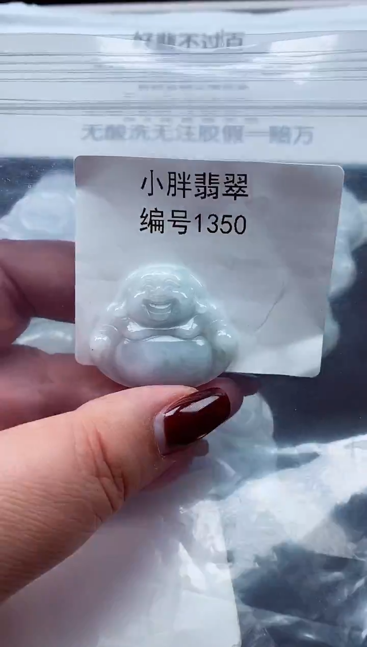 颈饰未镶嵌翡翠缅甸天然A货翡翠1350