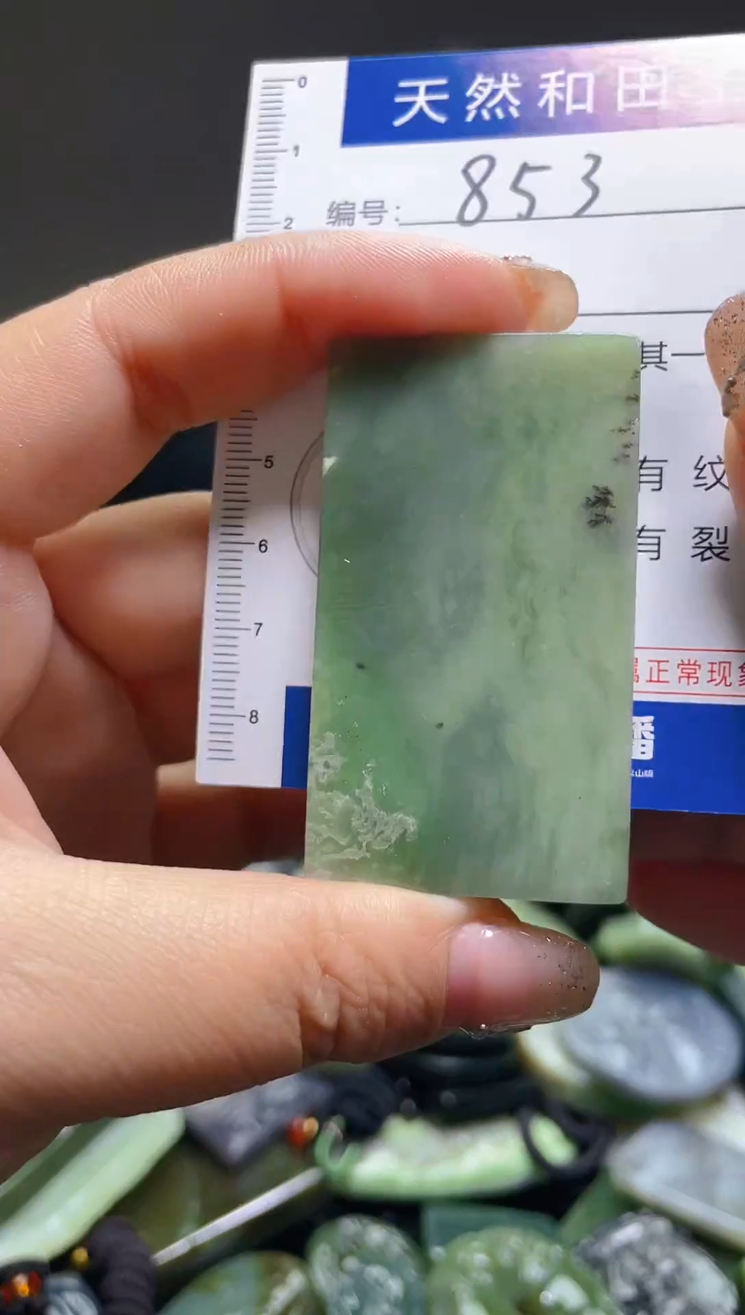 颈饰未镶嵌和田玉853