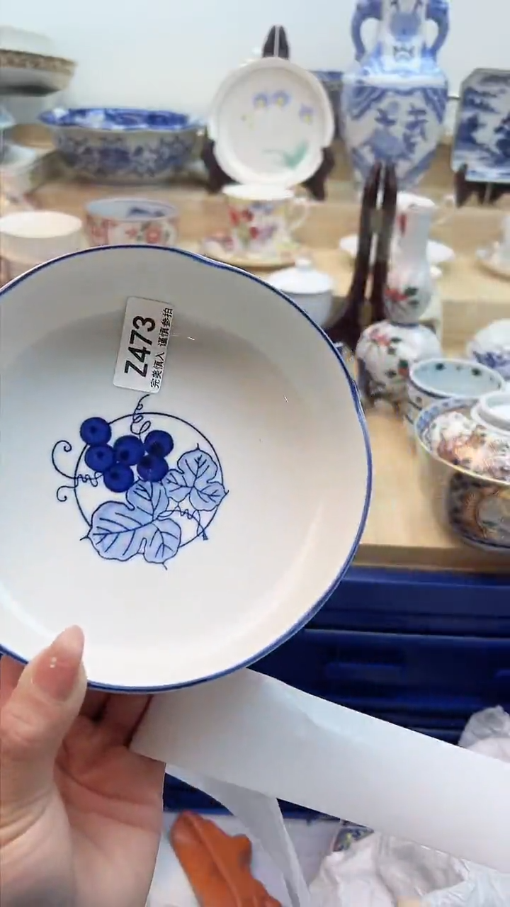 【闪购商品】瓷片473