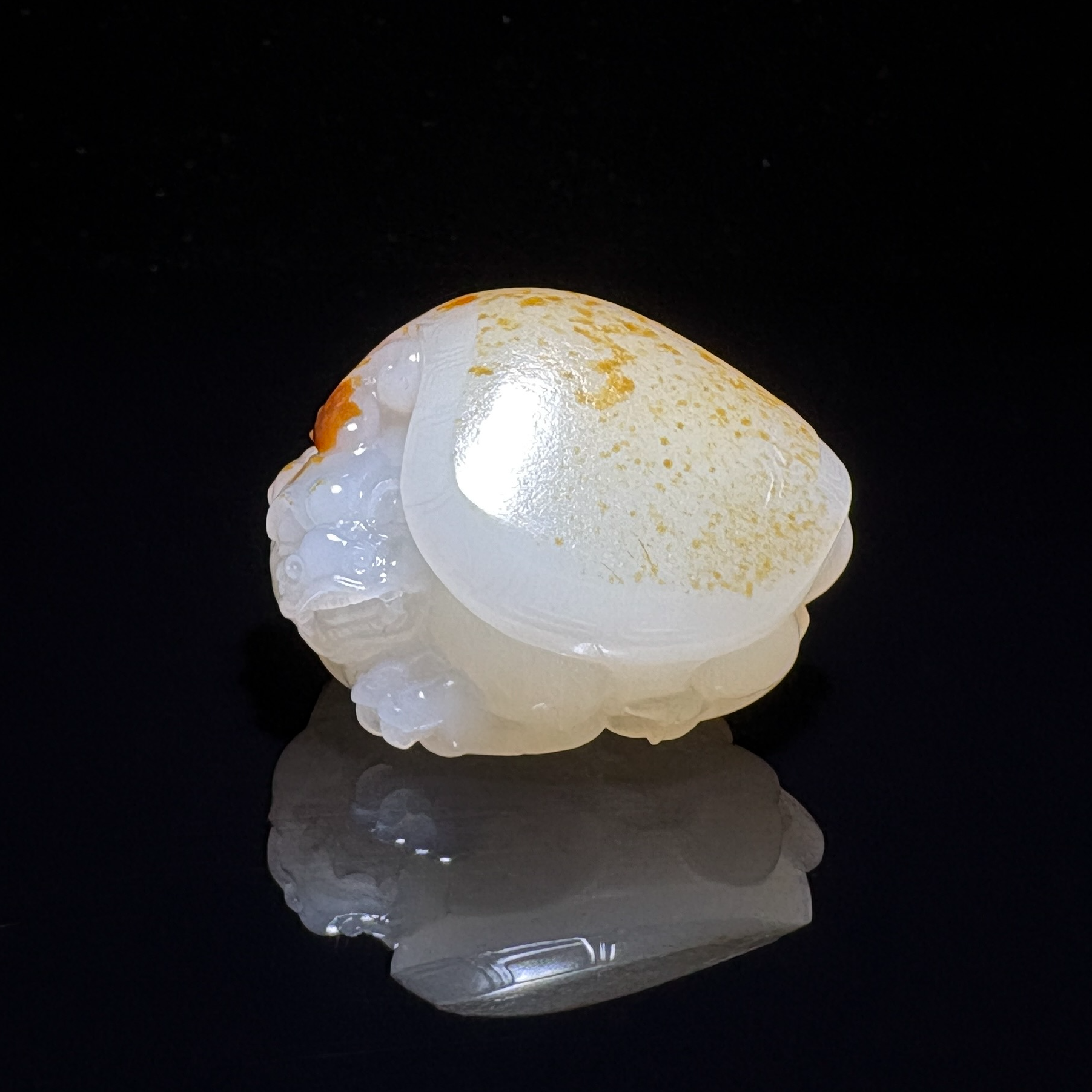 【龙龟】——新疆和田玉子料