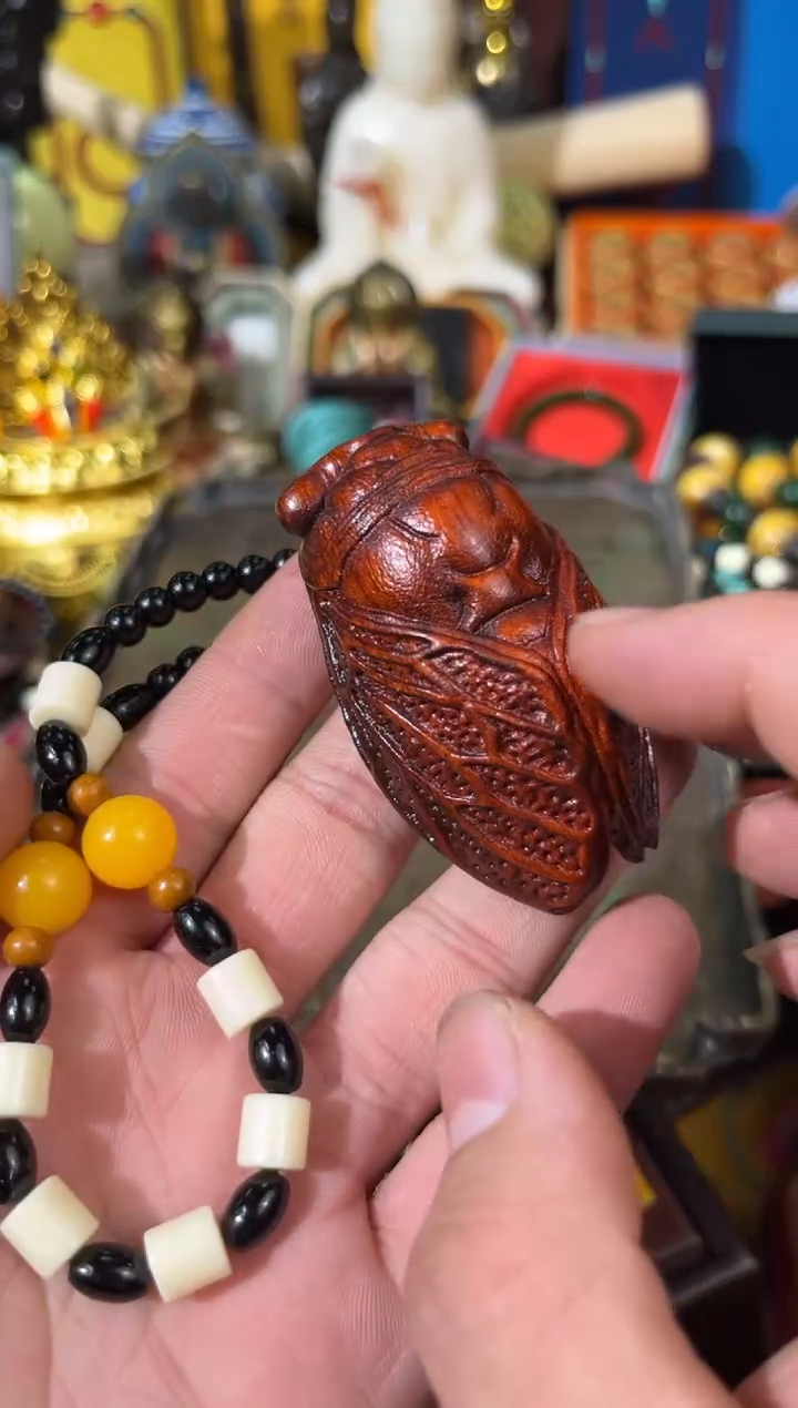 【闪购商品】龙龙龙龙龙龙龙龙