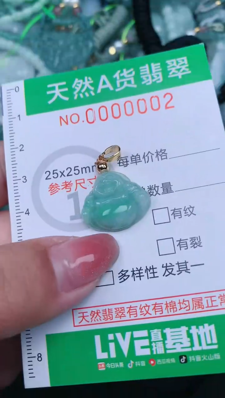 【闪购商品】翡翠颈饰未镶嵌.0000002
