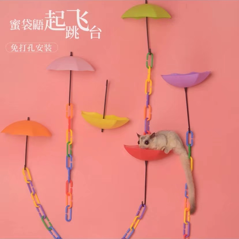 蜜袋鼯起飞跳台训练学习小飞鼠攀爬玩具用品站台滑翔