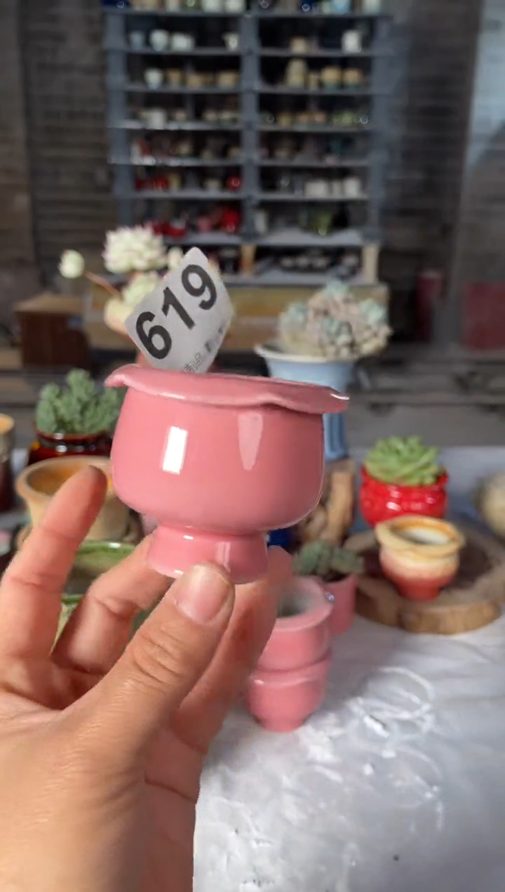 瓷片619小芳直播编号