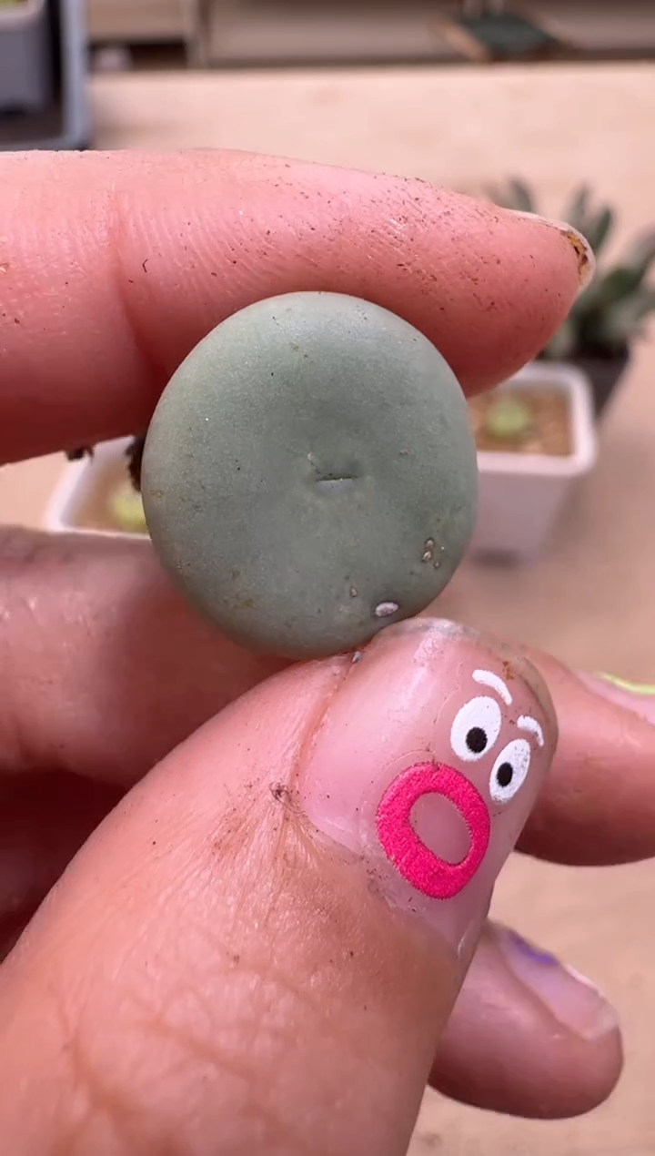 【闪购商品】16-59