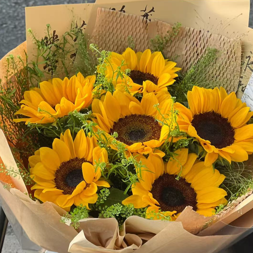 【基地向日葵】云南昆明基地顺丰EMS空运直发鲜切花水养插瓶太阳