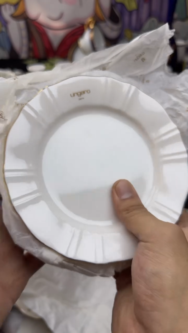 瓷片大漂亮甄选瓷器温加罗五片