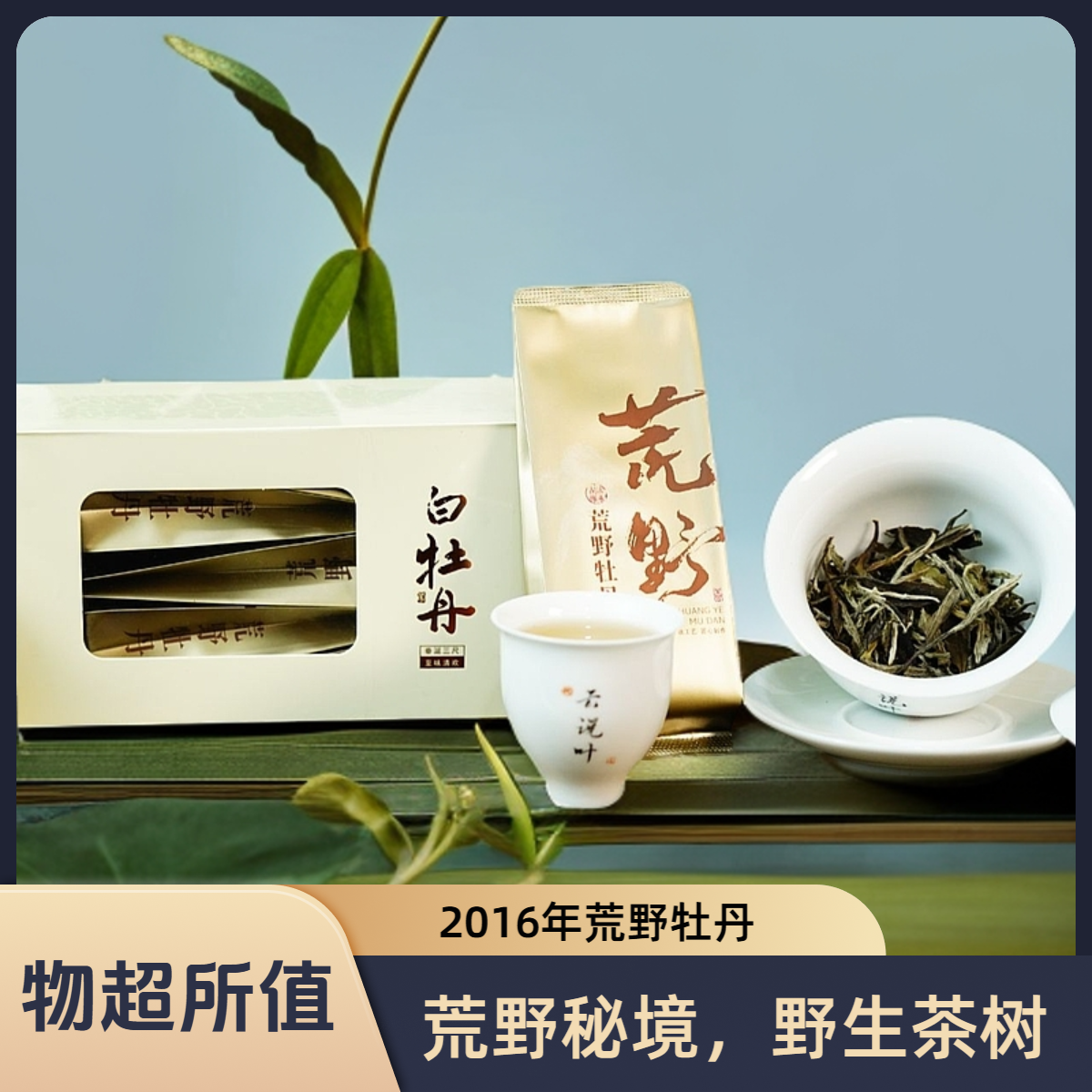 云说叶{2016荒野牡丹}  一级 福鼎白茶