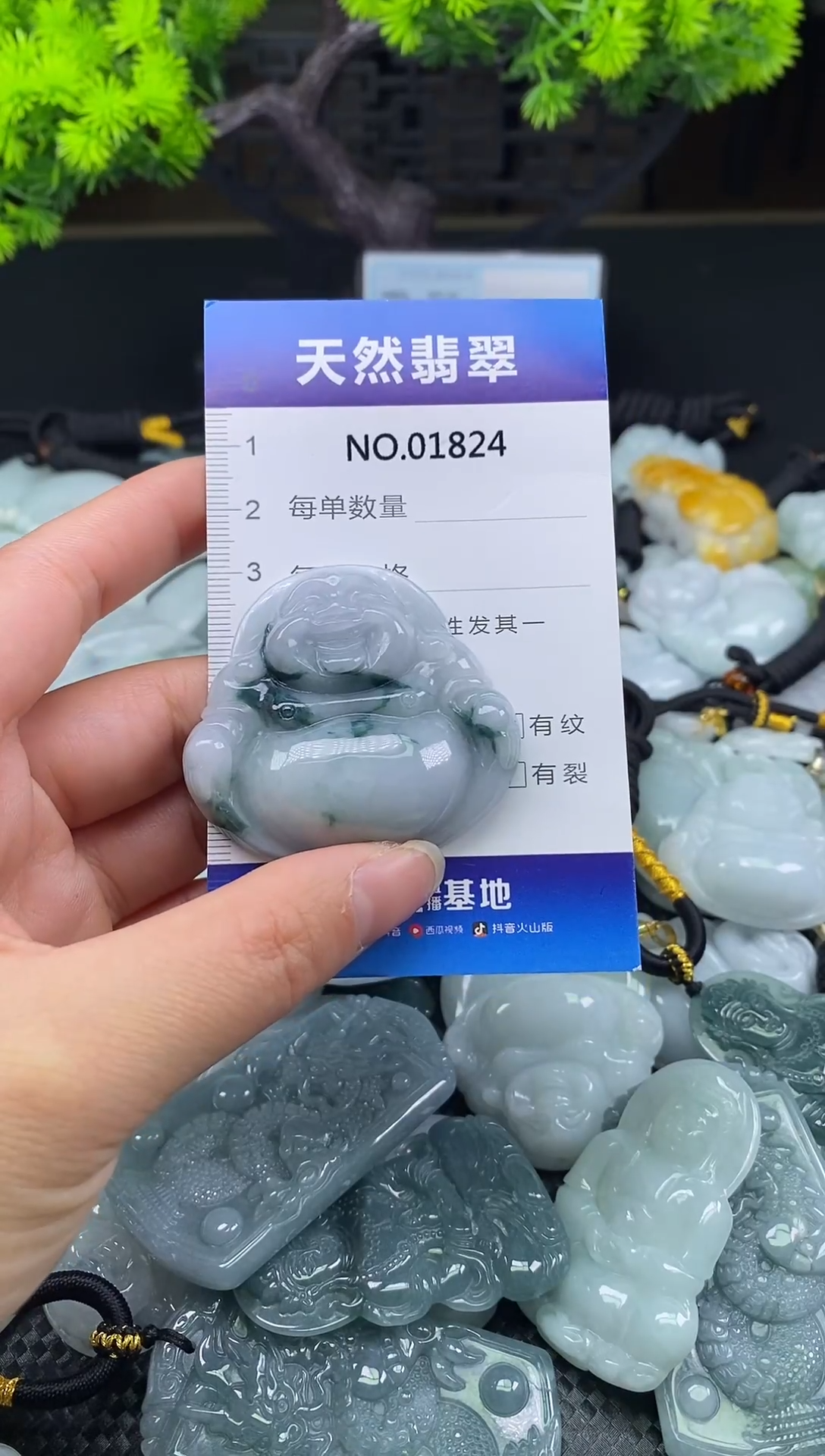 颈饰未镶嵌翡翠天然缅甸翡翠1824