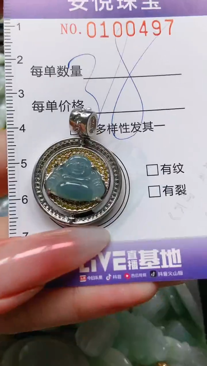 【闪购商品】翡翠颈饰未镶嵌闪购0100497