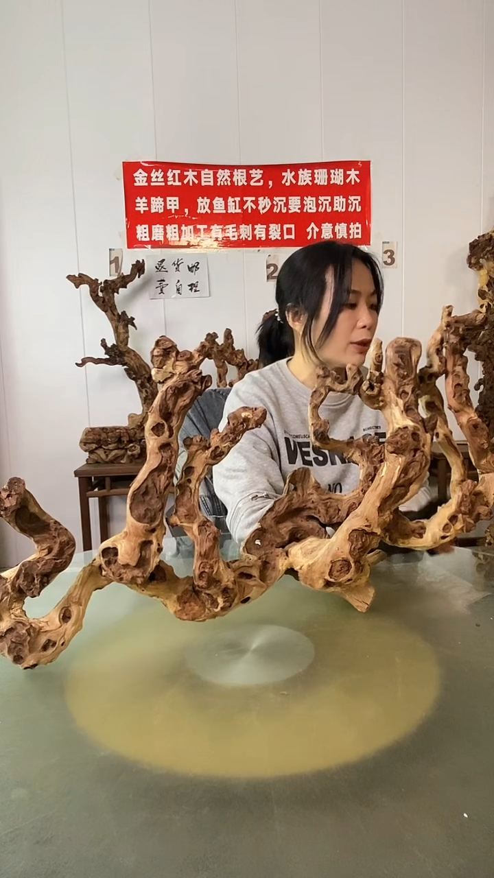 木@****꧂金丝红木  羊蹄甲