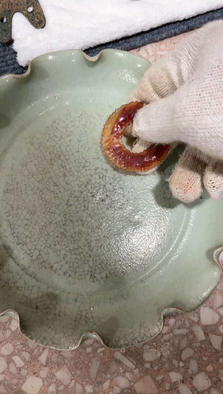 【闪购商品】瓷片瓷瓷瓷瓷瓷瓷瓷瓷瓷瓷瓷瓷