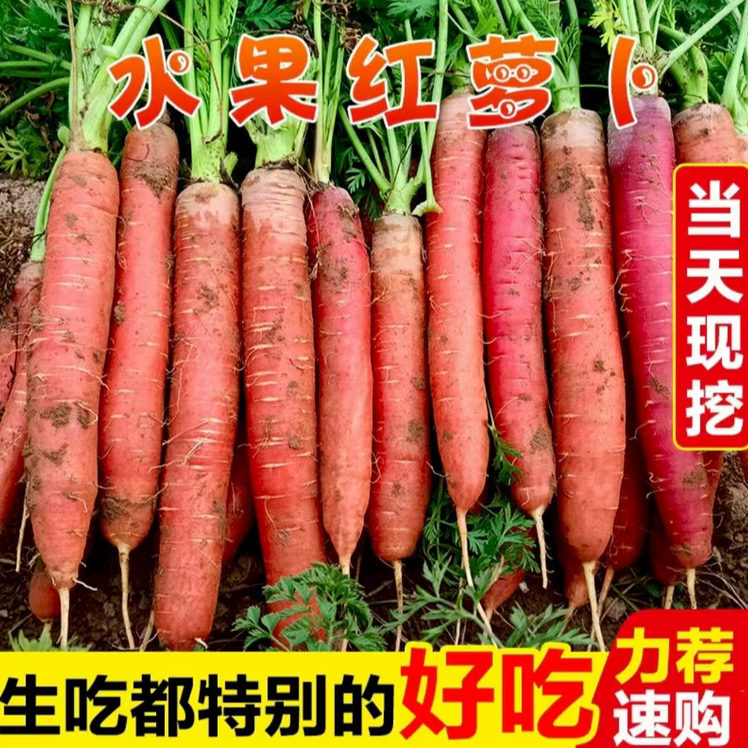【坏果包赔】陕西沙地水果红萝卜生吃脆甜带泥当季蔬菜不是胡萝卜