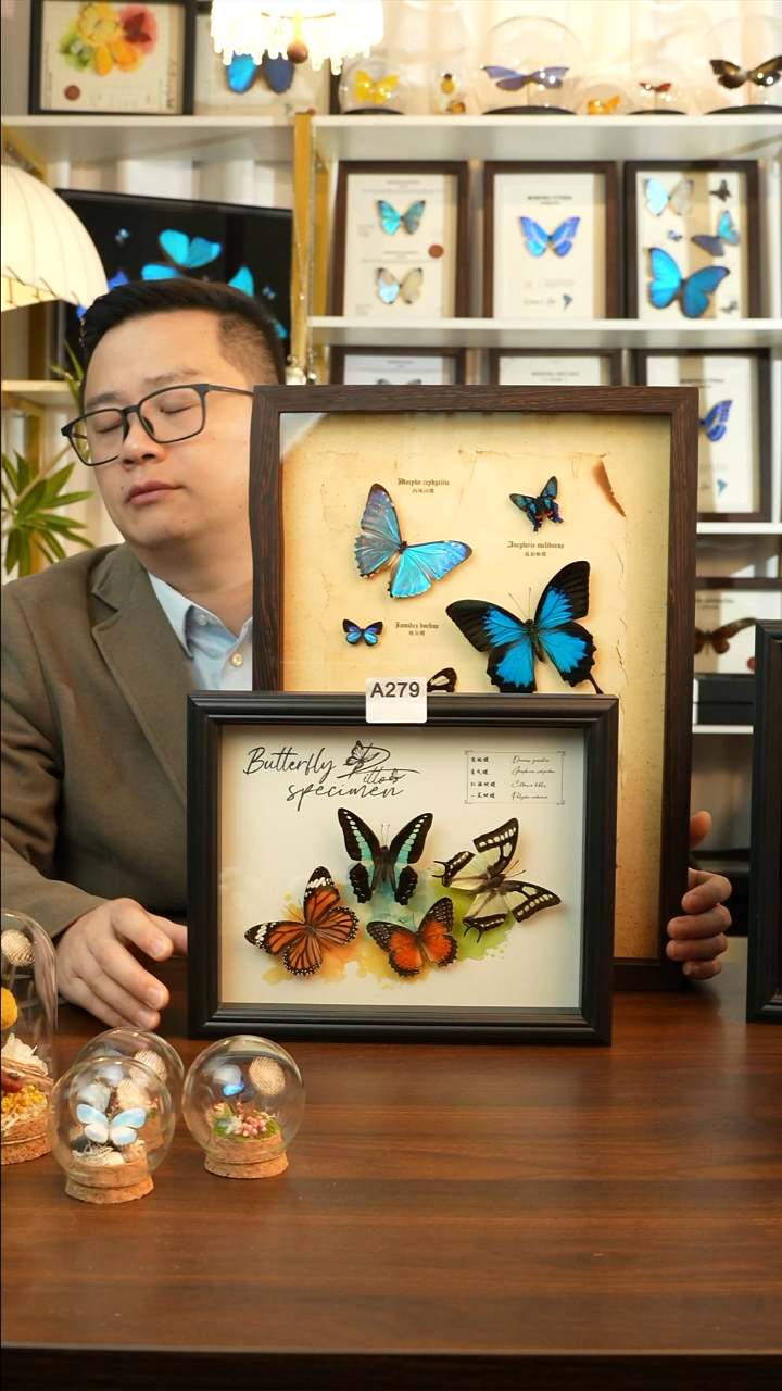 四色蝴蝶组合（10寸欧式黑框）A279