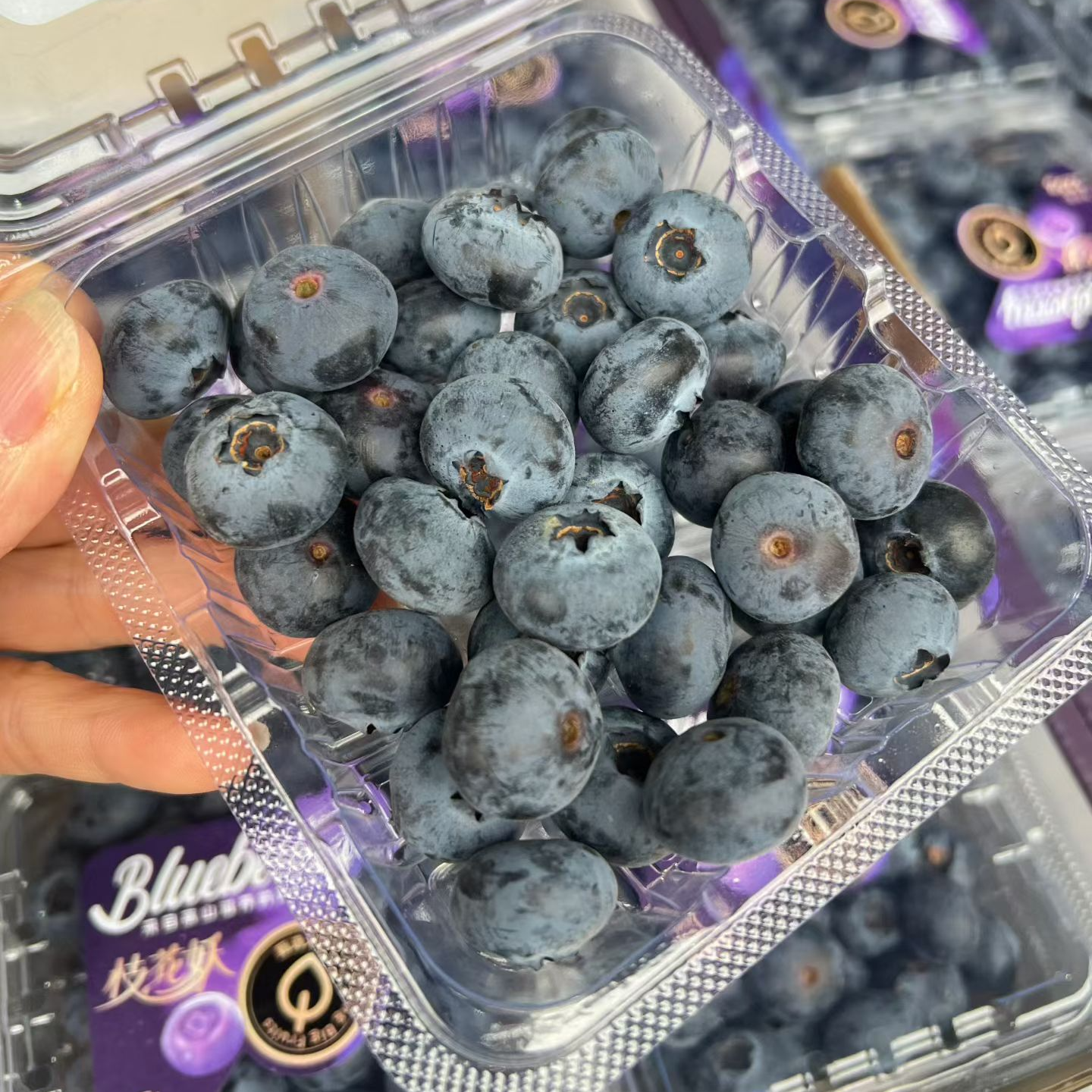 枝花妖花香蓝莓纯甜无酸花香味浓郁18mm+只发川渝