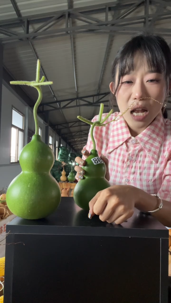 苍**松098天然葫芦摆件 一物一拍龙头不保售后