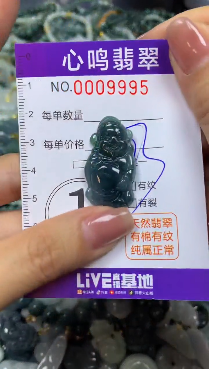 翡翠未镶嵌颈饰闪购009995