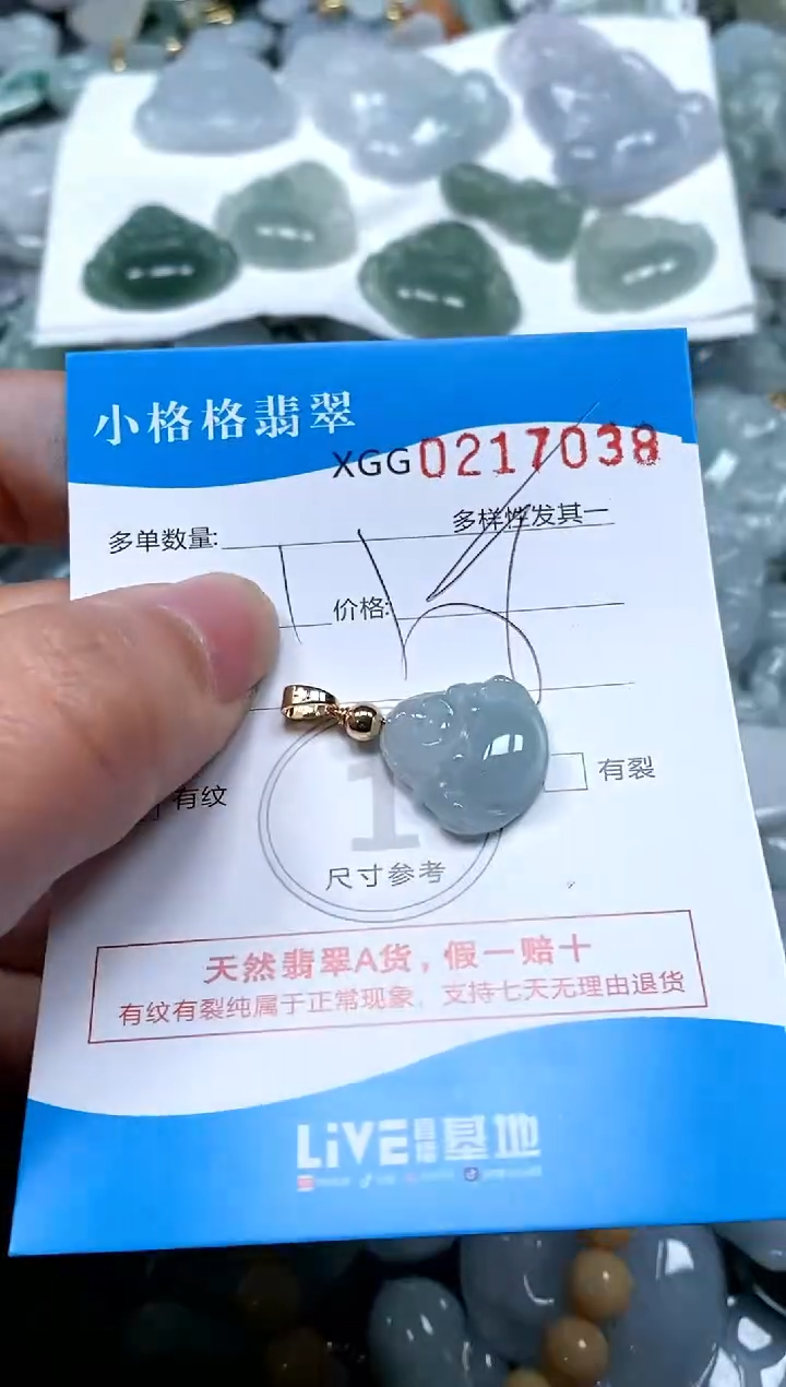 【闪购商品】翡翠颈饰未镶嵌闪购商品0217038