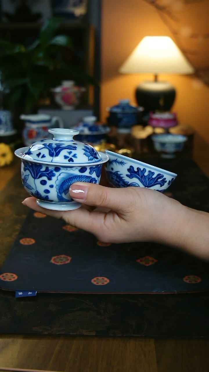 鱼藻福利套组 11111