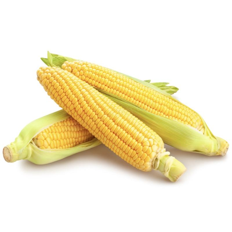 甜玉米约800g
