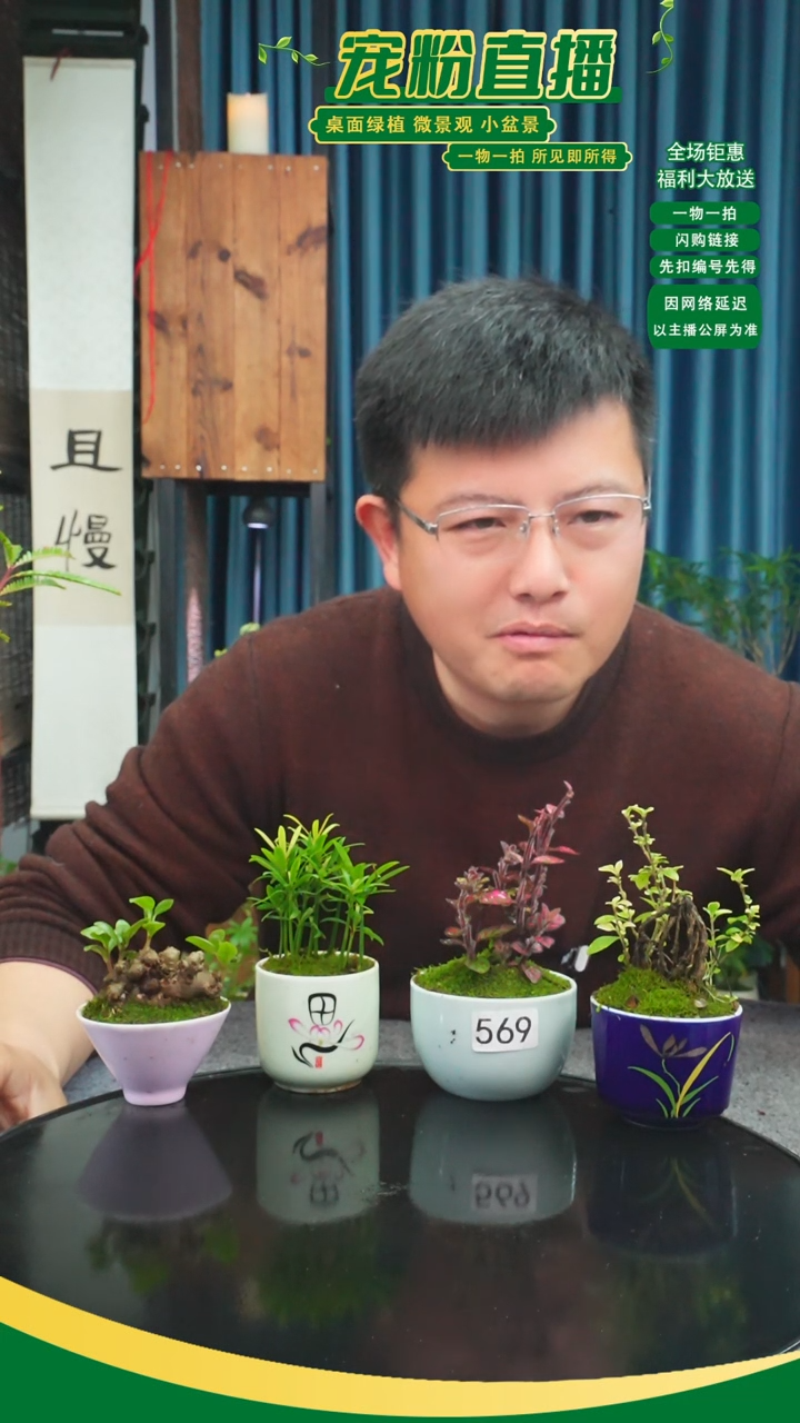 无花朵别***谁苔藓微景观569号