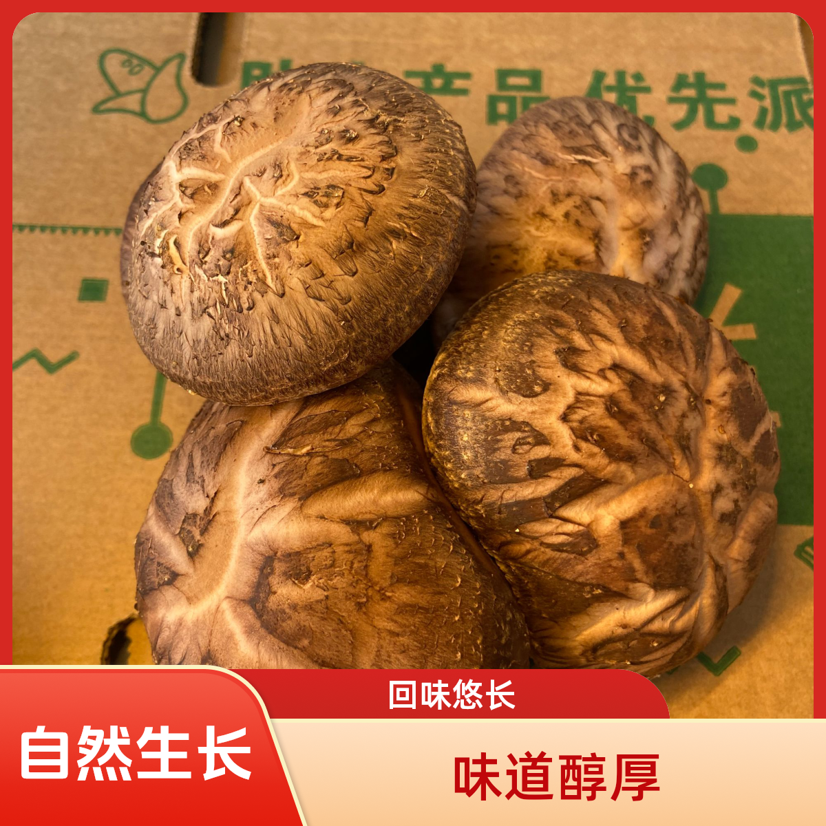 河南露天椴木香菇，自然生长，鲜香醇厚，鲜香不及本味，醇厚无需多言
