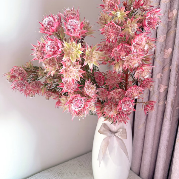 鲜花【南非新娘花】同地址两单以上顺丰/德邦+送10包保鲜剂