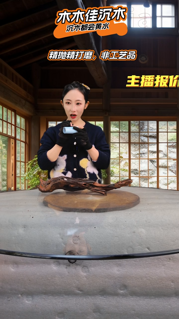 叶****育木木佳沉木鱼缸造景676