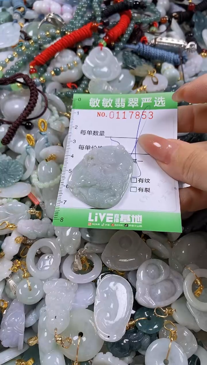 【闪购商品】翡翠颈饰未镶嵌闪购0117853