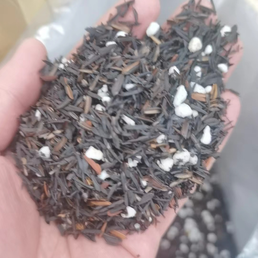 兰花专用——碳化谷壳（增加兰花钾肥，增加兰花的抗逆性，物理防虫）