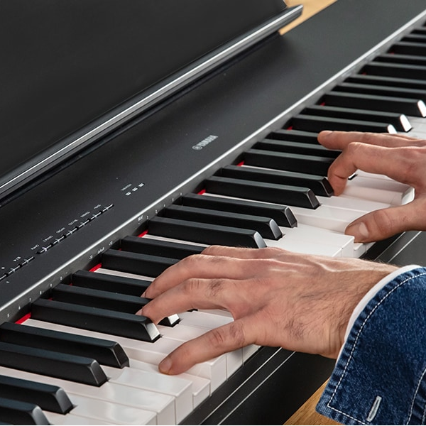 P-225  88键便携式电钢琴渐层式槌感