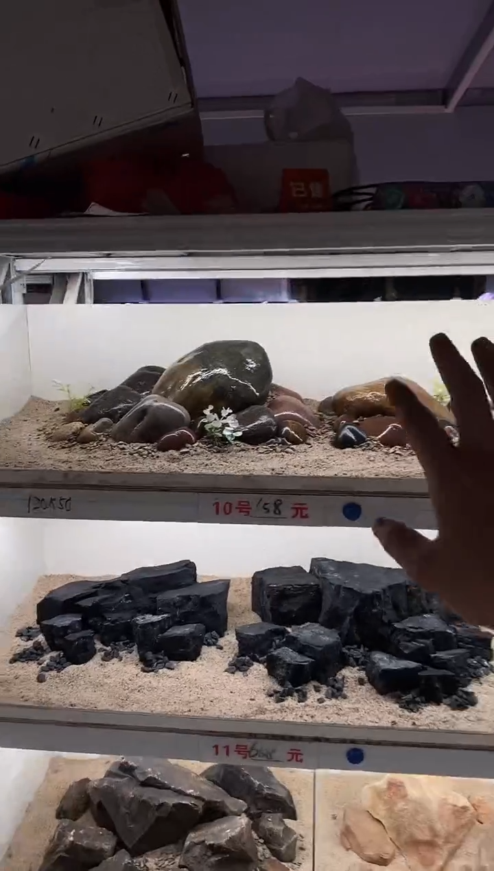 10号鱼缸造景（不含底砂）