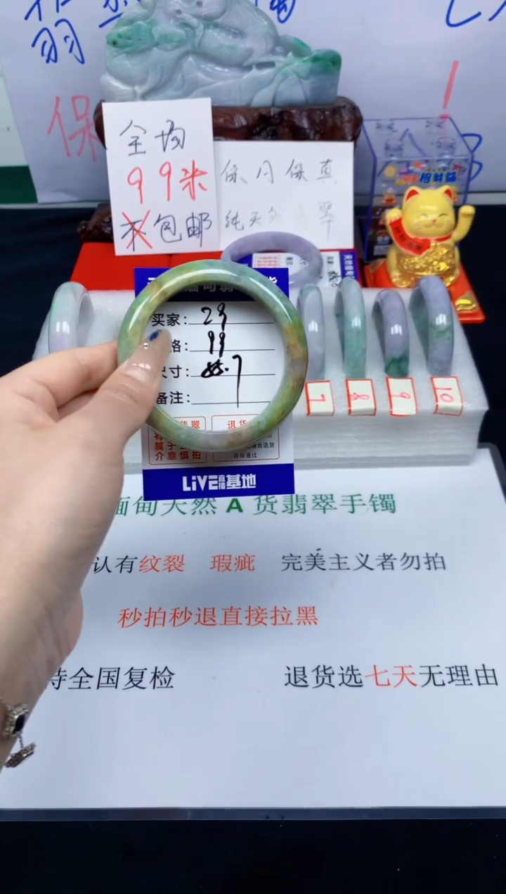 未镶嵌手镯翡翠29