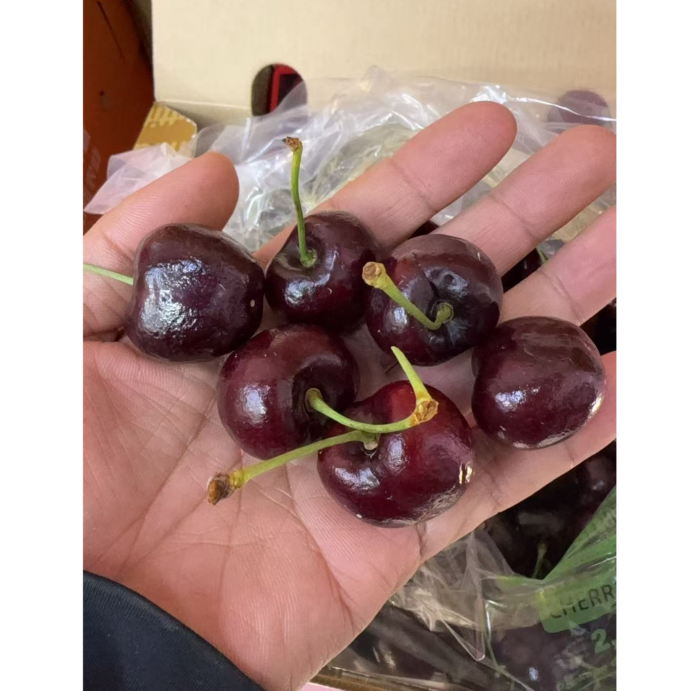 海运智利车厘子双JJ五斤装智利