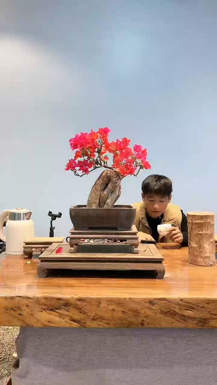 【闪购商品】aa901