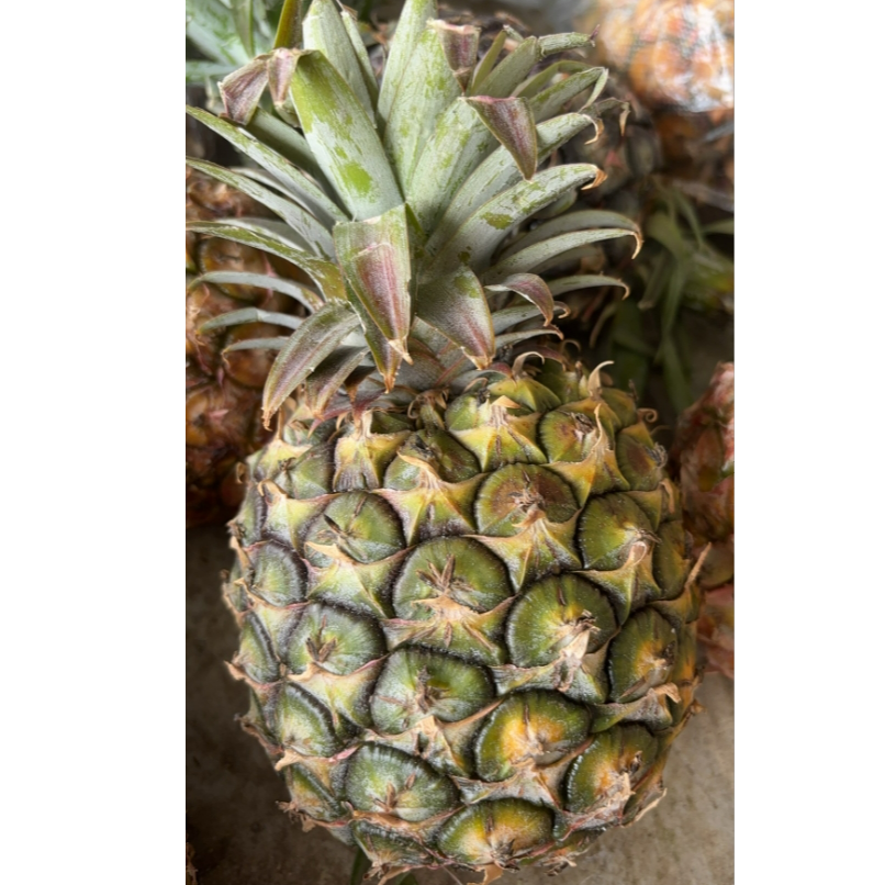 阡陌山货---凤梨