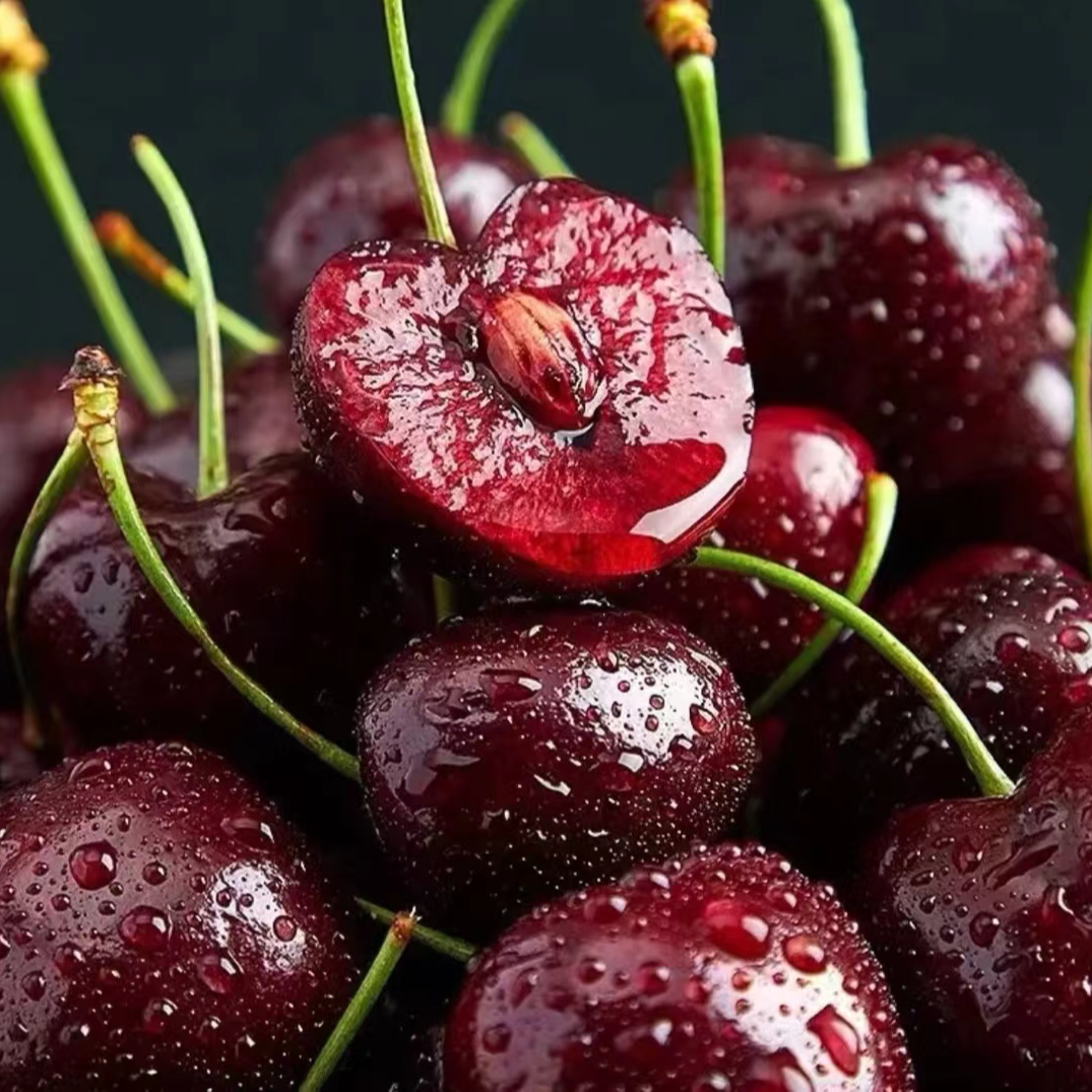 CC车厘子海运拉宾斯J-5J级5斤原箱智利进口坏果包赔 内附果径卡