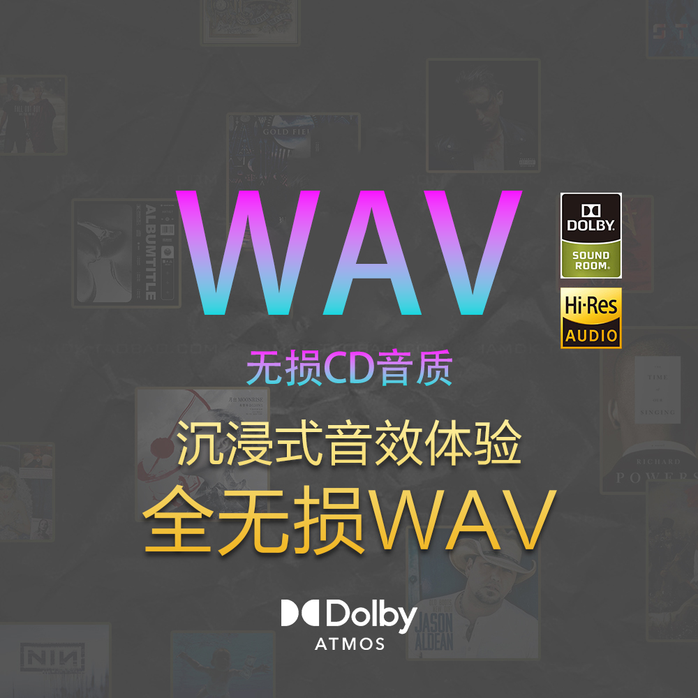 【2025全新升级】WAV 无损黑胶CD 音质抖音热歌流行DJ经典粤语怀旧