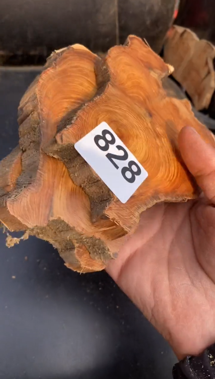 柏木（崖柏）太行陈化崖柏切片！随机（1单1片）828