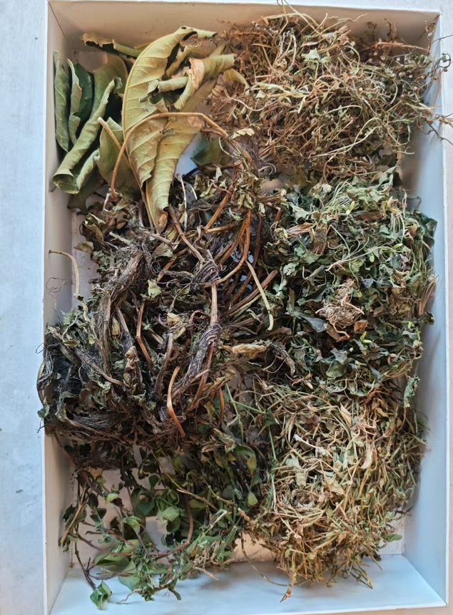 【金蛇緾腰】过塘蛇窜心蛇五组合送三