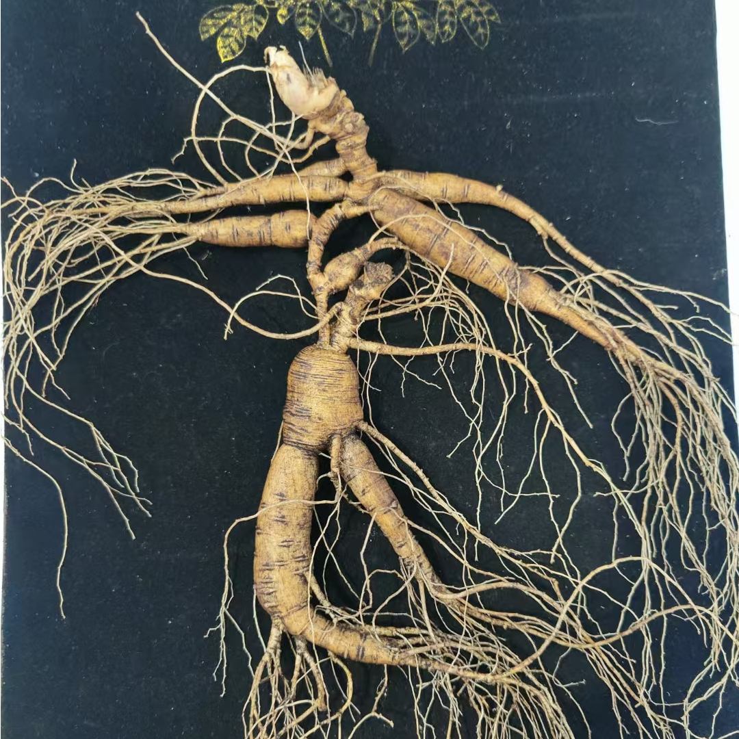 【山珍佬私人定制-改价链接】灵芝人参等 滋补养生泡酒专用