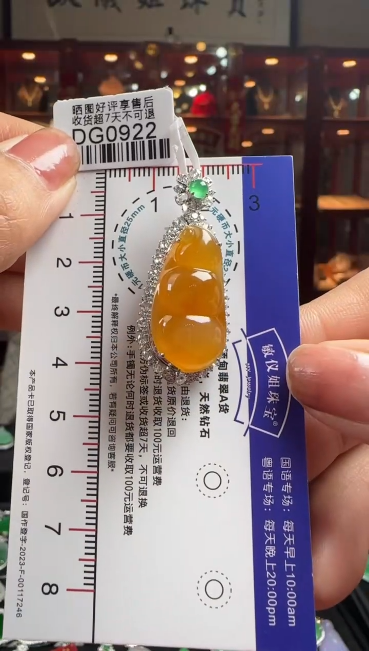 【闪购商品】翡翠颈饰18K金镶嵌DG0922冰红富贵豆