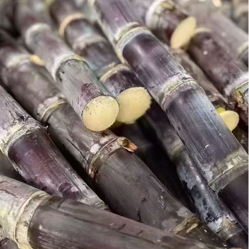 黑皮甘蔗1根 约6-7斤（削皮需备注）