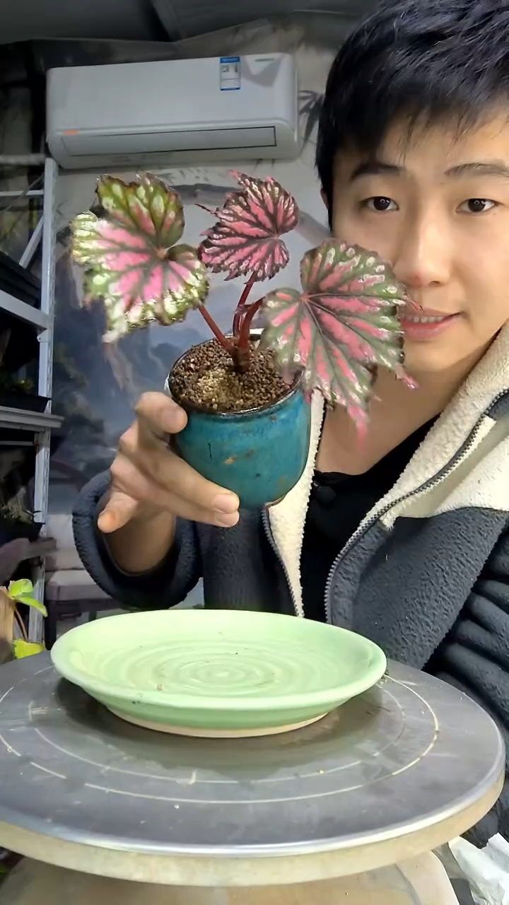 用****0中青园艺一物一拍花11