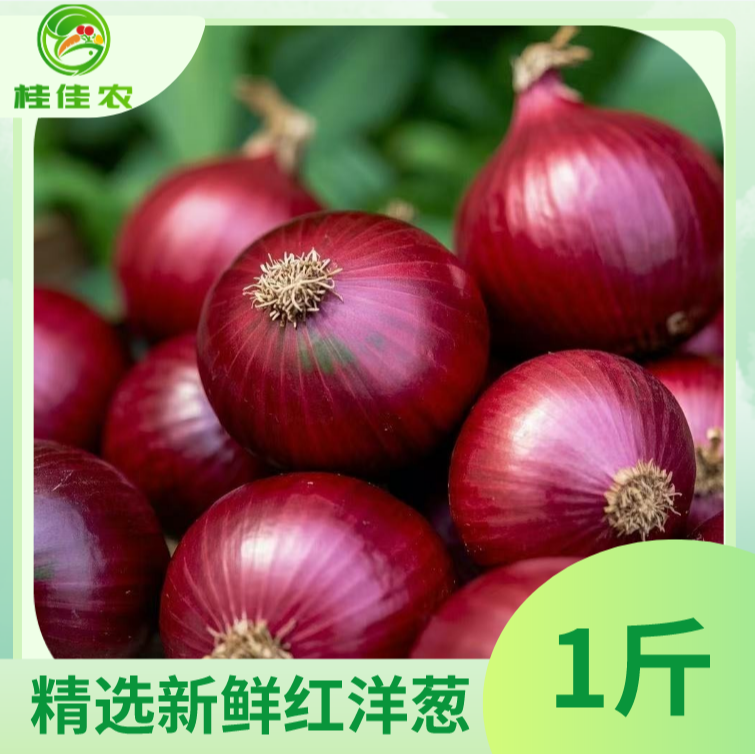 【桂佳农小时达】精选新鲜红洋葱 1斤/份