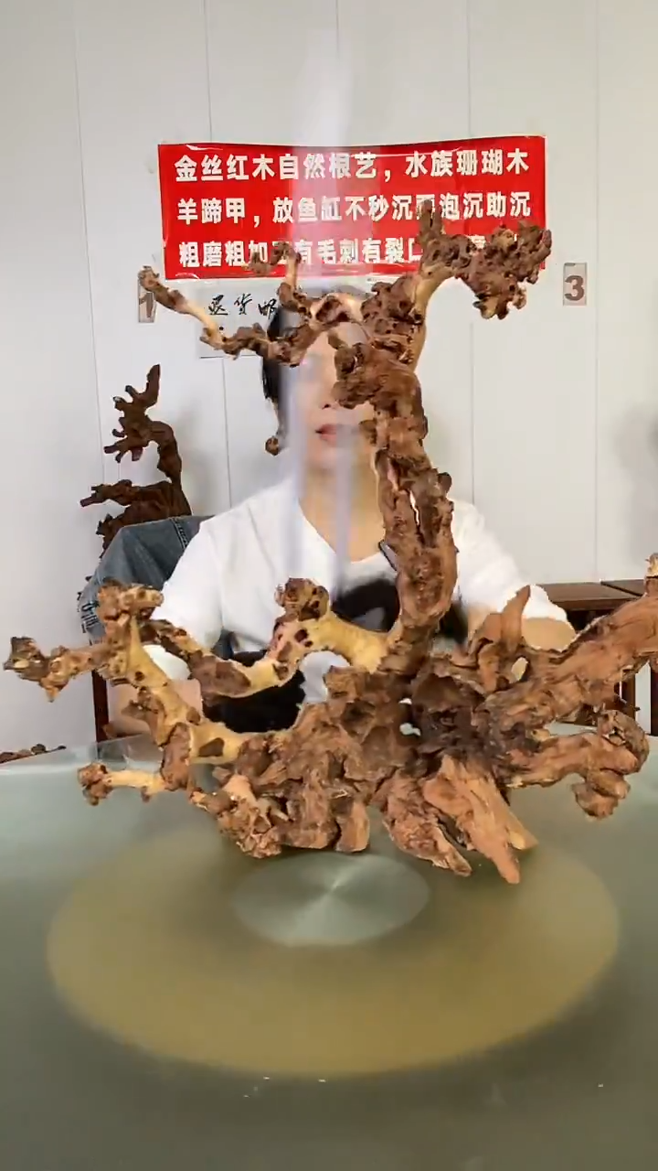 木痴****童金丝红木 羊蹄甲