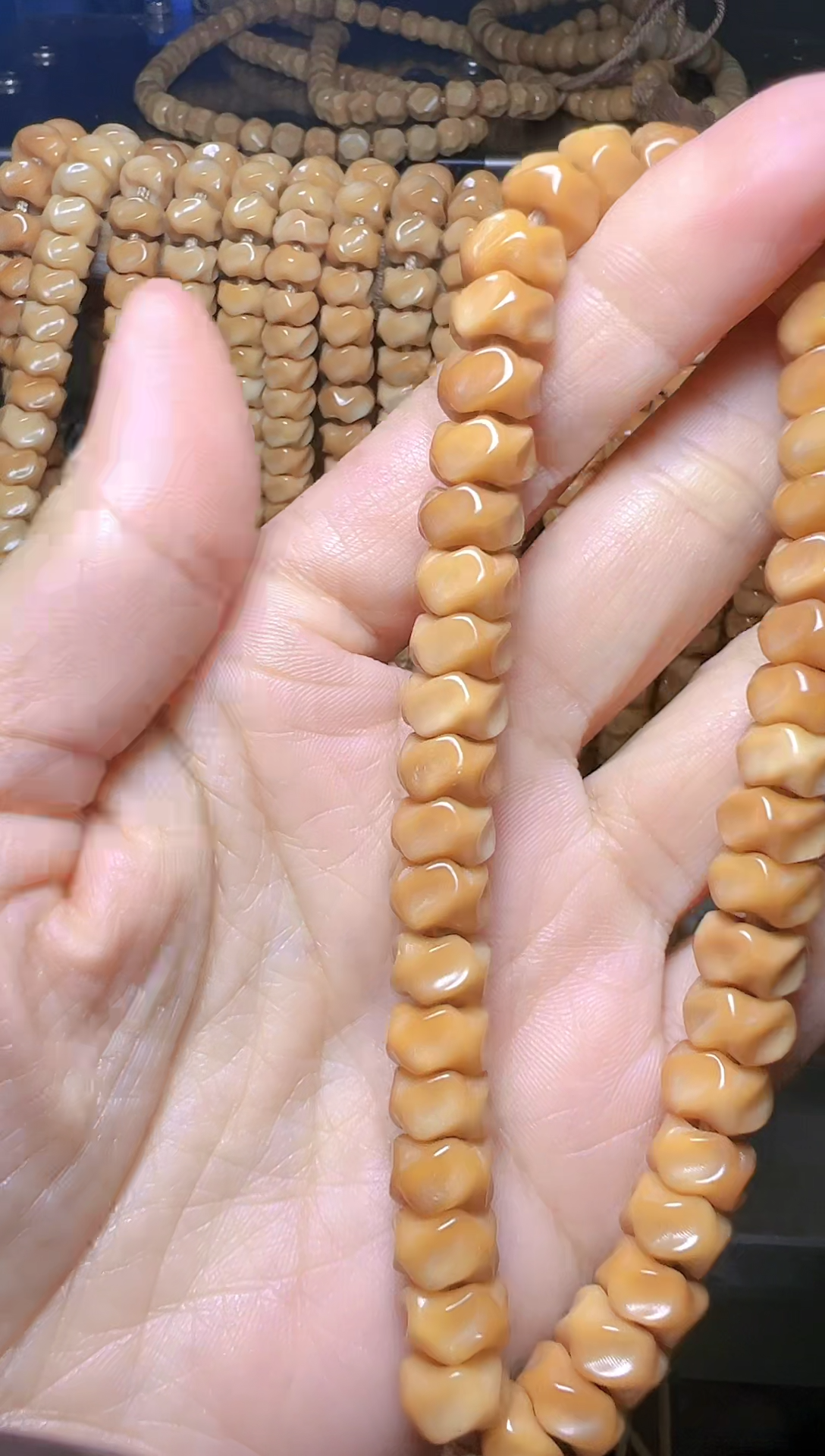 【闪购商品】菩提根/象牙果手串龙脊卡10龙骨手持 9号