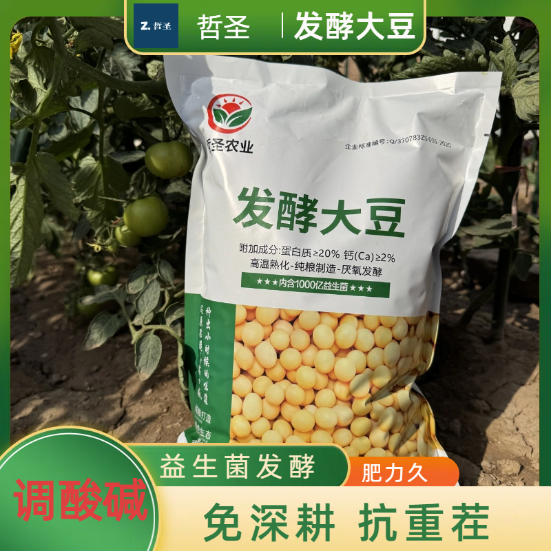 哲圣发酵大豆肥益生菌氨基酸高蛋白果树蔬菜花卉水肥家庭园艺菌肥